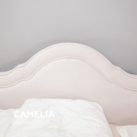 Camelia